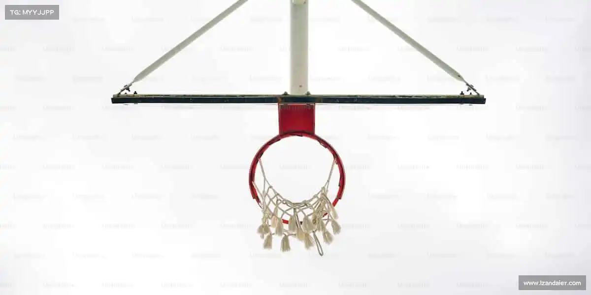 为什么选择我们